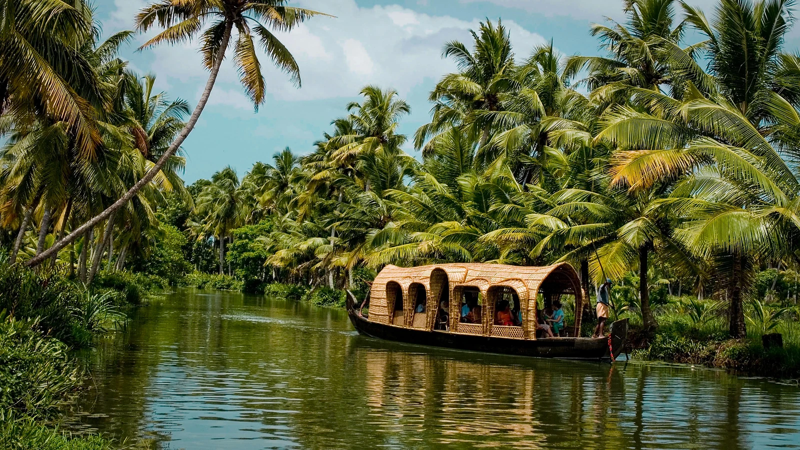 Palm trees reflected in the still water of Kerala's backwaters