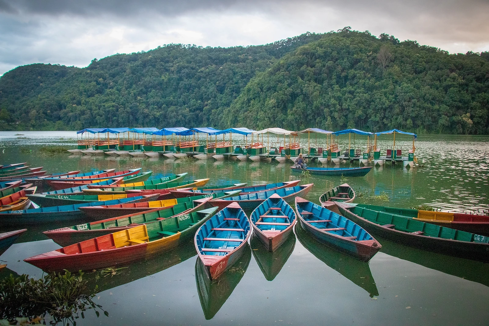 Colourful wooden boats moored on Phewa Lake in Pokhara