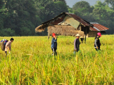 Laos-TravelZeg